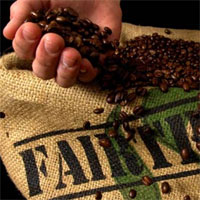 Certified Organic/Fair Trade